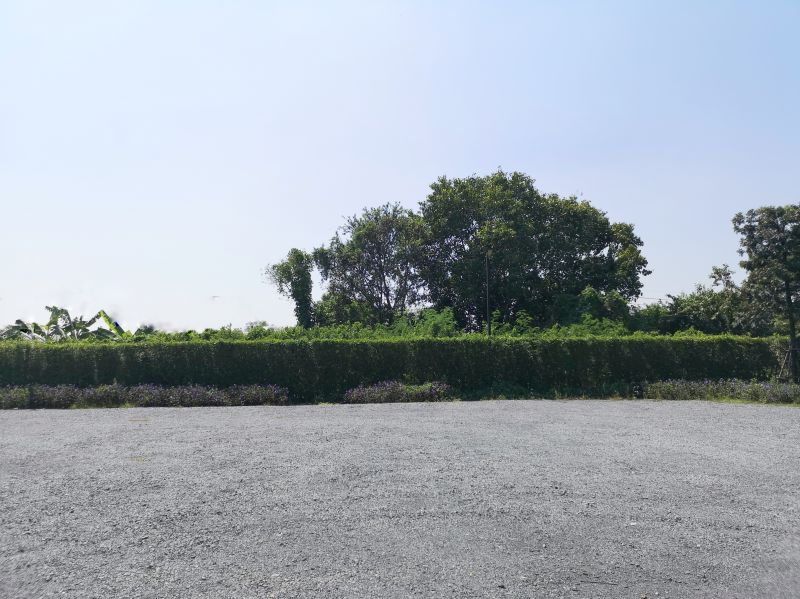 Parking Area Grading